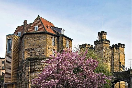 Tour image 4